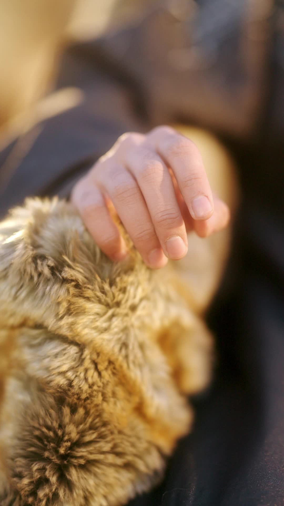 Episode 6 - I Married a Dead General